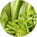 Apigenin
