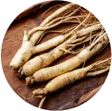 Ginseng Extract