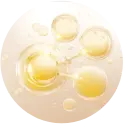 Tripeptide