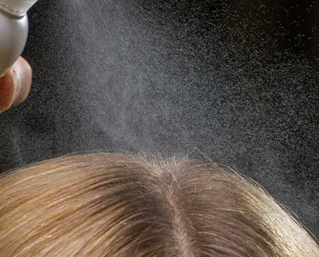 Step 2: Ozone Mist Disinfection